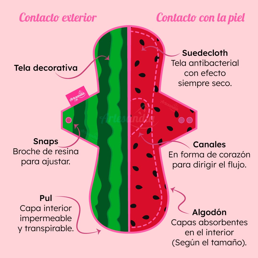 Anatomía de pads